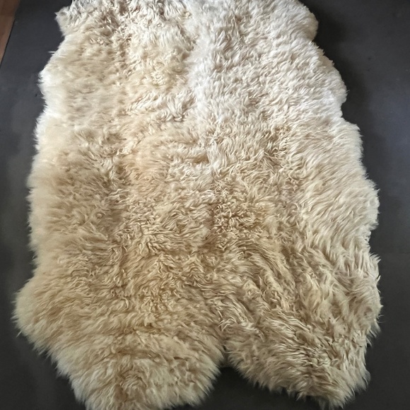 Genuine New Zealand Sheepskin rug - Picture 1 of 5